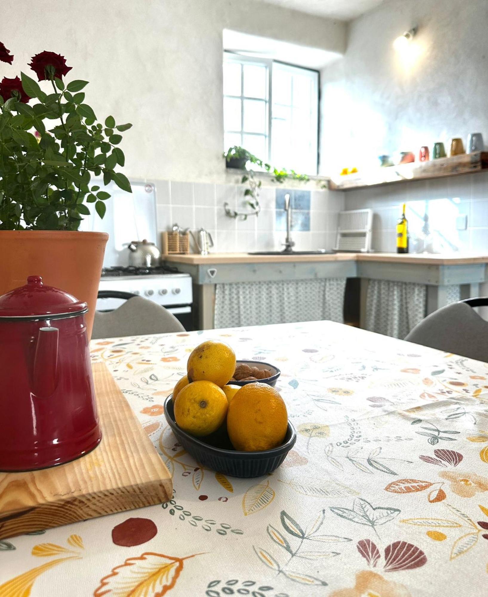Bed and Breakfast Casa Trilho The Gaios Tábua Zewnętrze zdjęcie