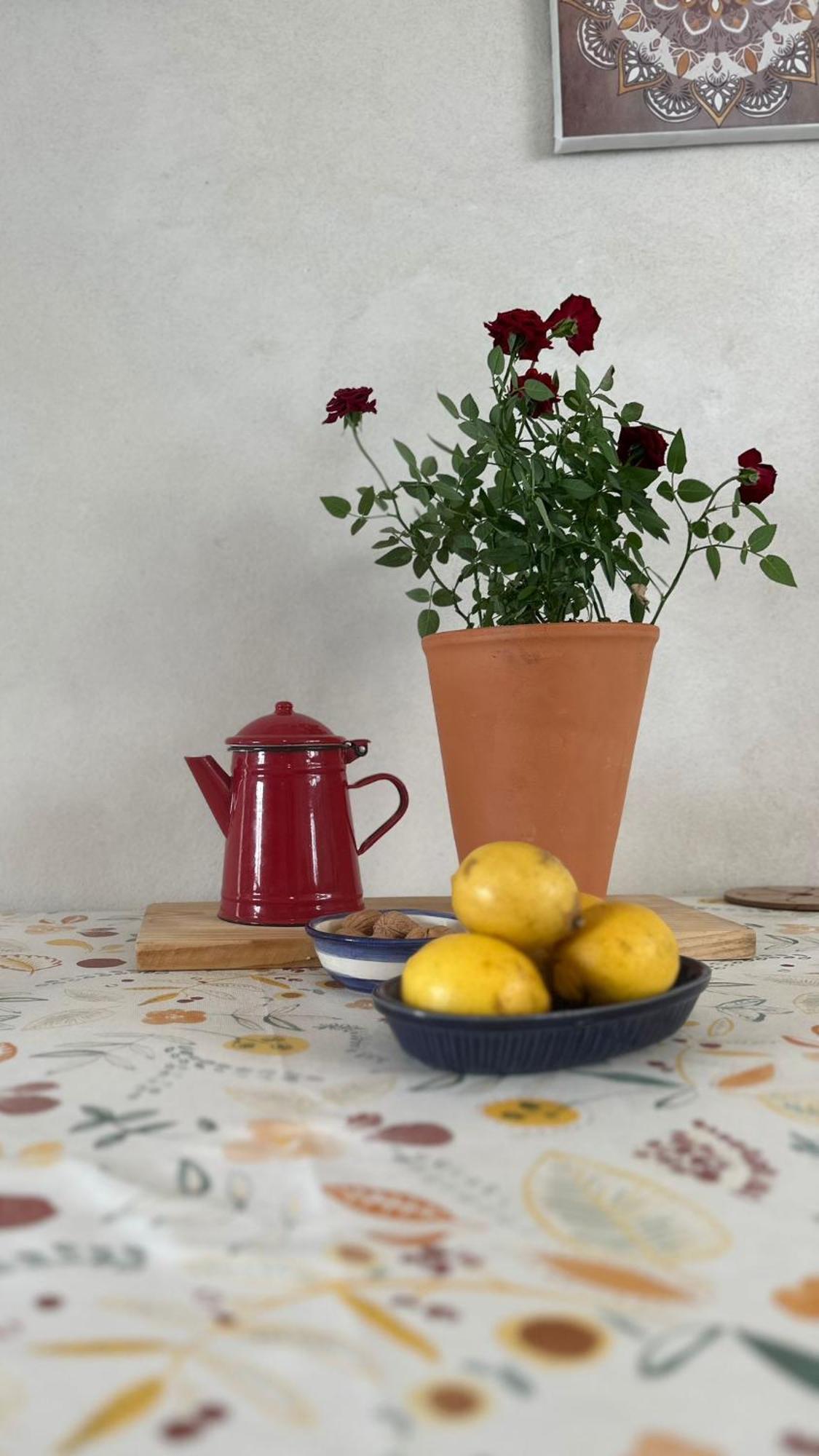 Bed and Breakfast Casa Trilho The Gaios Tábua Zewnętrze zdjęcie