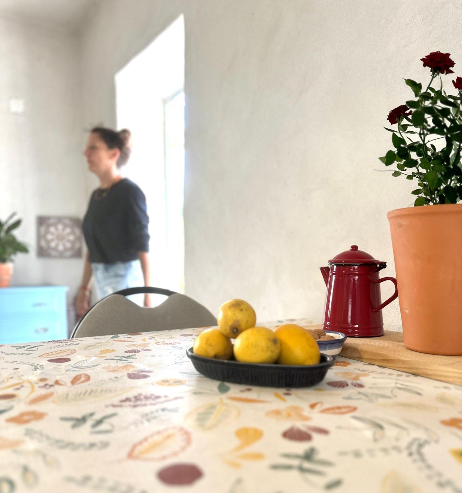 Bed and Breakfast Casa Trilho The Gaios Tábua Zewnętrze zdjęcie