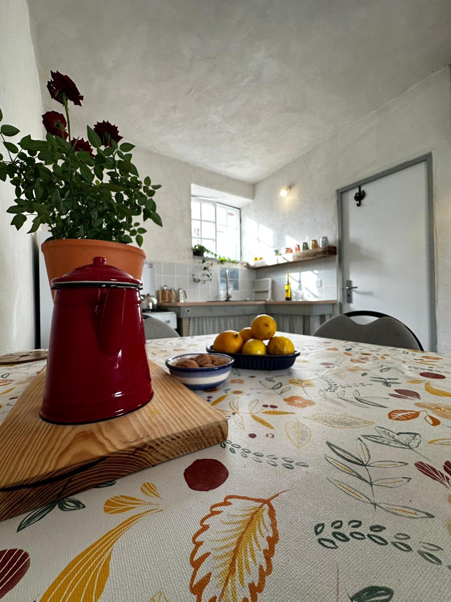 Bed and Breakfast Casa Trilho The Gaios Tábua Zewnętrze zdjęcie